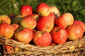Яблочный Спас: традиции и приметы на праздник