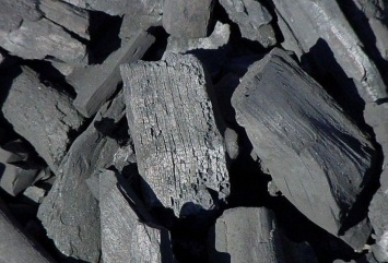 Стало известно, что древесный уголь защищает человеческий организм от антибиотиков