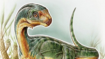 "Динозавр Франкенштейна" из Чили оказался "потерянным звеном" эволюции