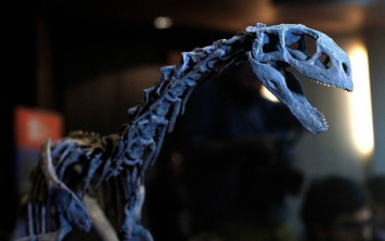 «Травоядный хищник» заставляет пересмотреть эволюцию динозавров