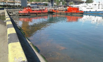 Одесский порт пытается установить владельца ливневки, загрязняющей акваторию Практической гавани