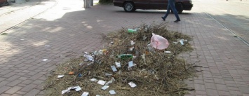 В центре Одессы коммунальщики отказываются убирать мусор (ФОТО)