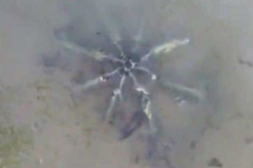 На американском пляже найден странный предмет с металлическими щупальцами (ВИДЕО)