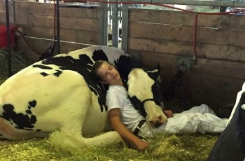 Уснувшие в обнимку мальчик и корова покорили интернет