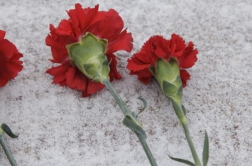 «Предпринимательница» из Винницы воровала цветы с могил бойцов АТО и продавала их