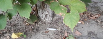 В Херсоне наркоманы "кайфуют" возле детских площадок