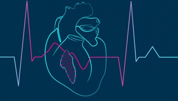 Ученые из МФТИ создали первую компьютерную модель больной сердечной ткани