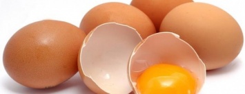 Группа кременчужан заразилась сальмонеллой, покушав яиц, купленных в АТБ