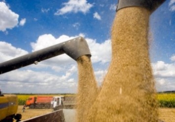 "Мрия" намолотила 240 тыс. тонн ранних зерновых