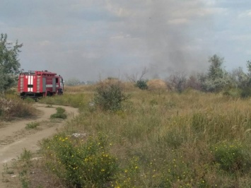 Спасатели вместе с местными жителями Витовского района тушили пожар (ФОТО)