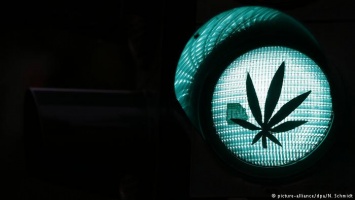 Доклад: Все больше подростков в ФРГ употребляют марихуану