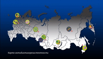 Можно ли умереть в России от инфекции, вызванной супербактерией?