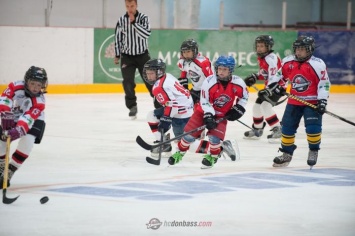 В Дружковке на Донетчине состоялся праздник открытия нового хоккейного сезона (фото)
