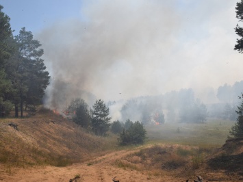 Под Николаевом спасатели тушат мощный лесной пожар