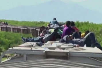 В США в холодильной камере грузовика найдены 60 мигрантов