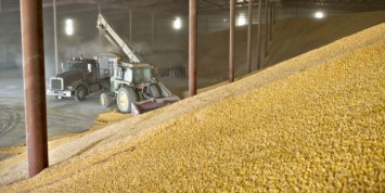 Эксперты повысили прогноз по сбору зерна, отметив падение цен