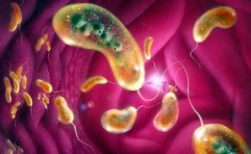 Эпидемиологи нашли очаг холеры В Мелитополе