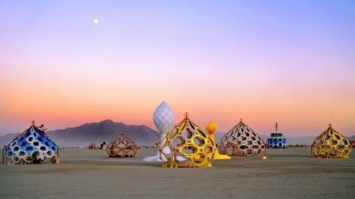 На фестивале Burning Man в США сожгут целый город