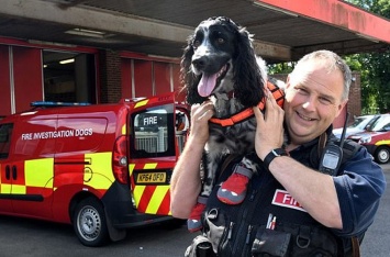 СМИ рассказали о собаке - «секретном оружии» пожарной бригады