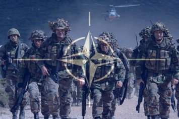 Жителям Киевщины целый год будут рассказывать про НАТО