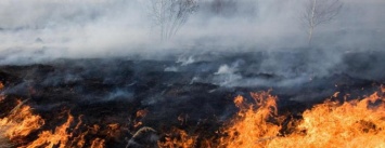 Бердянск и район сегодня оказались в плену пожаров