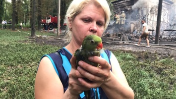 Из огня пожара в киевском парке Пушкина спасли попугая Кеша
