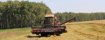 На Черниговщине намолочено более миллиона тонн зерна