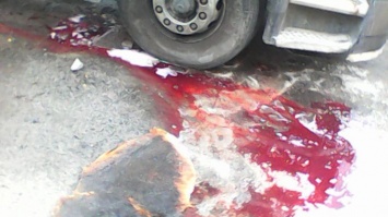 Под Киевом из горящего грузовика потекли "кровавые" пестициды (фото)