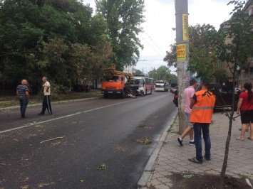 Поваленное дерево стало причиной огромной пробки на Гагарина (Фото)