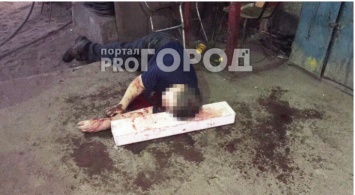 "Резня на "ГАЗе": нижегородский "мясник" при задержании был ранен в ягодицу