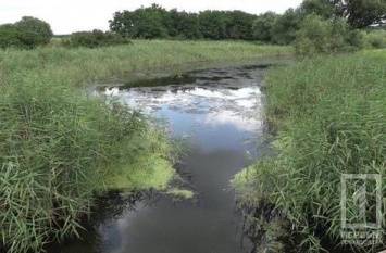 В Саксаганской реке Кривого Рога обнаружили превышенное содержание хлоридов