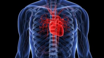 Новая технология помогает диагностировать болезни сердца