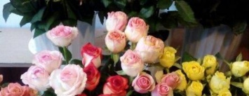 Цветочники Покровска уверяют, что в праздник «Первого звонка» не будут поднимать цены на букеты