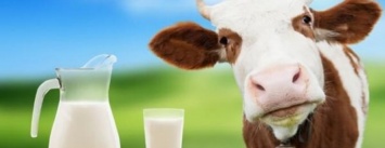 Черниговская область лидирует по производству молока