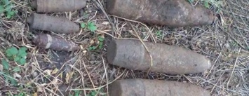 За два дня на Николаевщине нашли 11 боеприпасов - их уничтожили пиротехники (ФОТО)