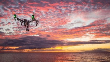 На пляжах Австралии появятся дроны для поиска акул