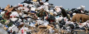 Прокуратура через суд хочет заставить черниговских чиновников бороться с мусором