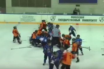 Стенка на стенку. Юные хоккеисты устроили массовое побоище на льду