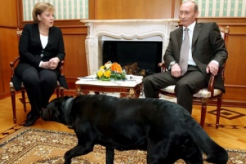В немецкой прессе Путина назвали собакой: зреет скандал