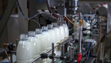 В Крыму в молочной продукции выявили антибиотики и растительные жиры