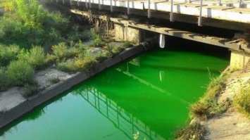 В Киеве речка Лыбидь стала ярко-зеленой: красочные фото