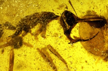 Палеонтологи открыли «адского муравья» с металлическим рогом