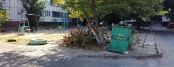 В Херсоне дети играют возле мусорных баков (фото)