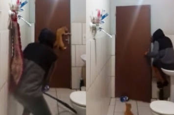 Парень вместе с котом попытался выгнать крысу из ванной. Теперь это ее ванная - видео