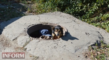 Под Одессой спасатели доставали собаку из колодца