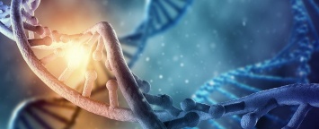 Ученые нашли доказательства того, что детство может влиять на ДНК