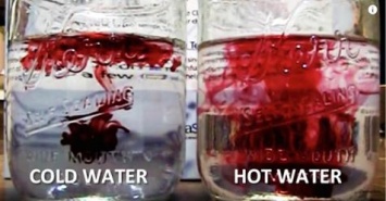 Холодная вода против теплой воды: одна из них вредит вашему здоровью
