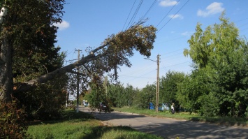 На Луганщине почти справились с последствиями ураганного удара