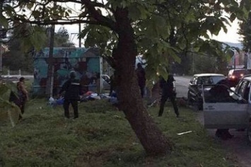 Закарпатская полиция задержала три десятка цыган, ехавших на драку