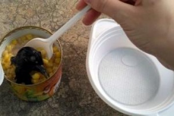Из России с любовью: жительница ОРЛО нашла в банке консервированной кукурузы голубиную голову
